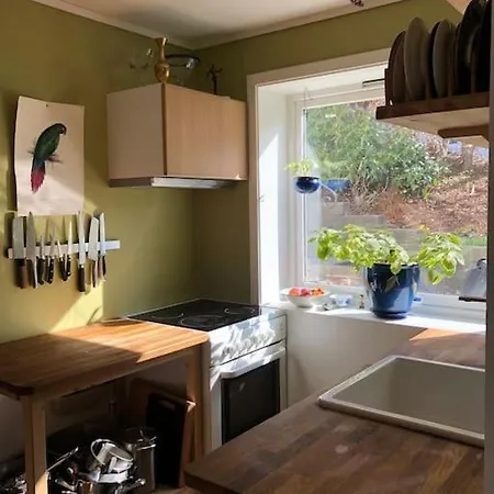 Apartment Cosy Aparment In Bergen