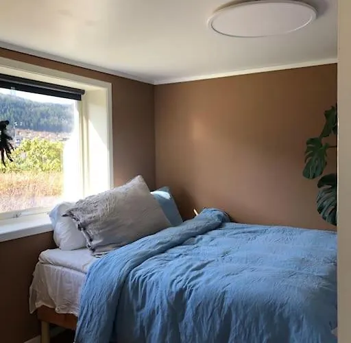 Cosy Aparment In Apartamento