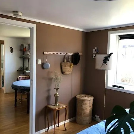 Cosy Aparment In